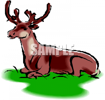 Deer Clipart