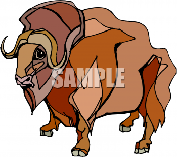 Buffalo Clipart