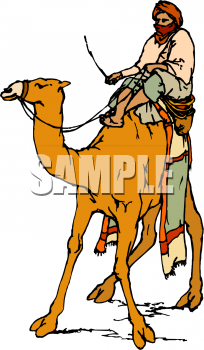 Camel Clipart