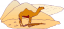 Camel Clipart