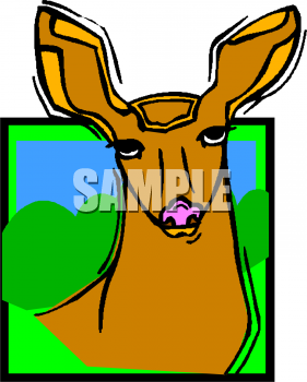 Deer Clipart