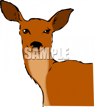 Deer Clipart