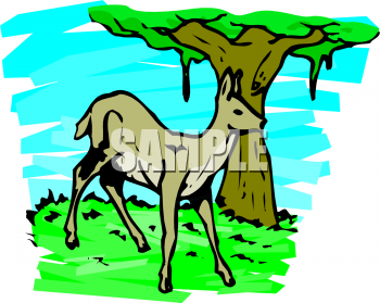 Deer Clipart