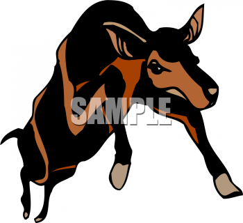 Deer Clipart