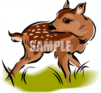 Deer Clipart