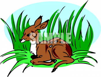 Deer Clipart