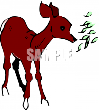 Deer Clipart