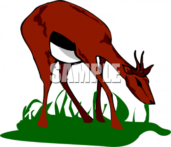 Horse Clipart