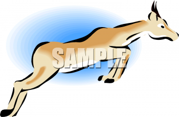 Antelope Clipart