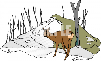 Deer Clipart