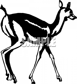 Deer Clipart