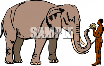 Mammal Clipart