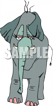 Mammal Clipart