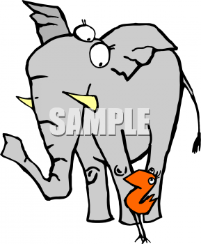 Bird Clipart