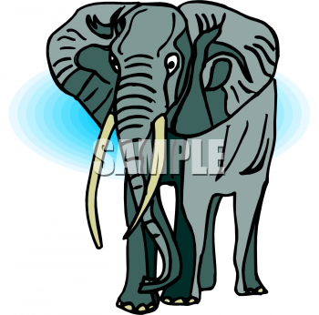 Mammal Clipart