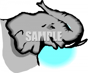 Mammal Clipart