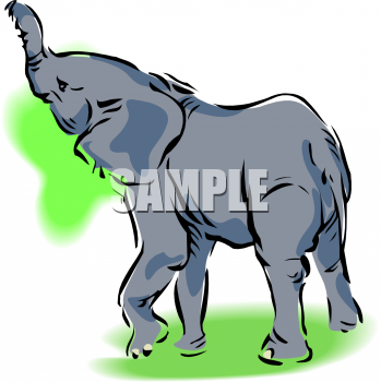 Mammal Clipart