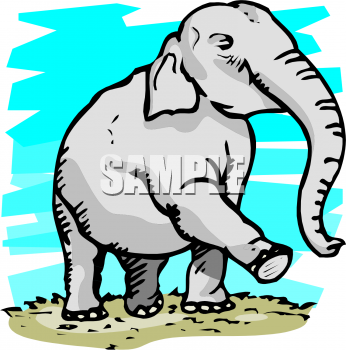Mammal Clipart