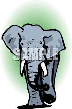 Mammal Clipart