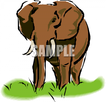 Mammal Clipart