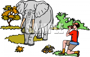 Mammal Clipart