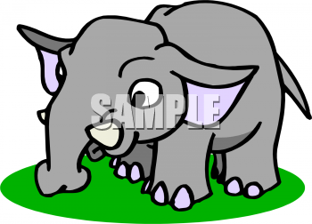 Mammal Clipart