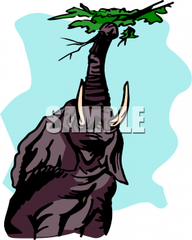 Mammal Clipart