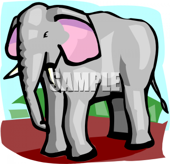 Mammal Clipart