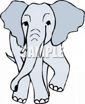 Mammal Clipart