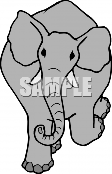 Mammal Clipart