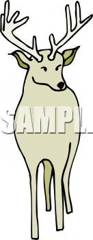 Deer Clipart