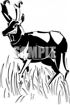 Deer Clipart