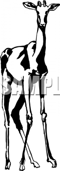 Deer Clipart