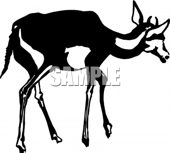 Deer Clipart