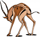 Antelope Clipart