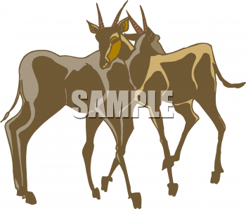 Antelope Clipart