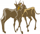 Antelope Clipart