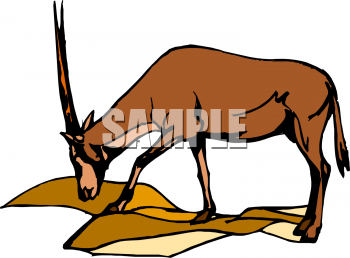 Antelope Clipart