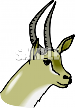 Antelope Clipart
