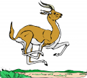 Antelope Clipart