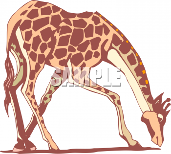 Animal Clipart