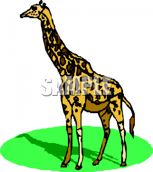 Animal Clipart