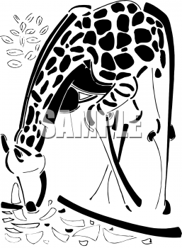 Animal Clipart