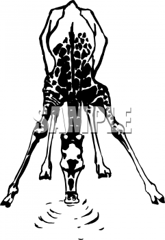 Animal Clipart