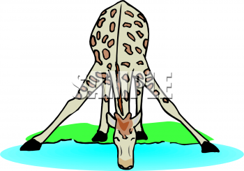Animal Clipart