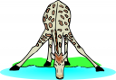 Animal Clipart