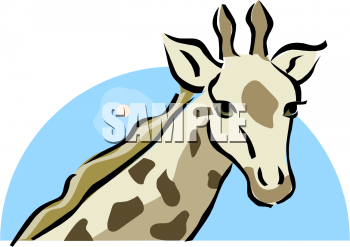 Animal Clipart