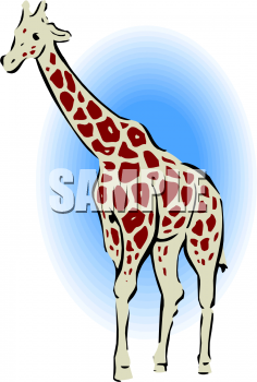 Animal Clipart