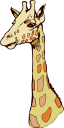 Animal Clipart