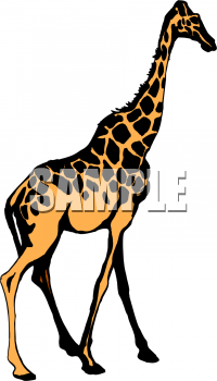 Animal Clipart